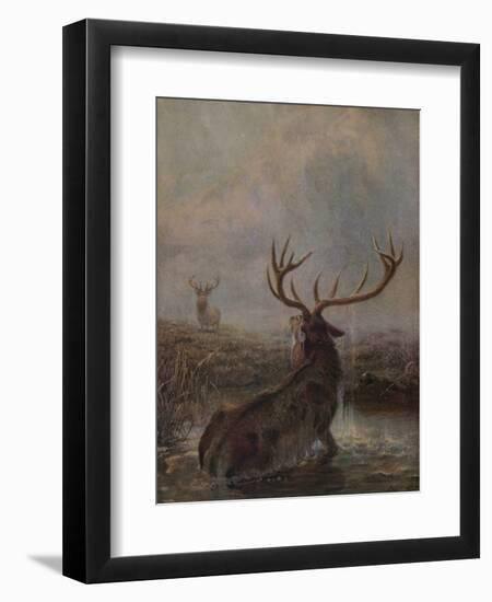 'Interrupted', 1875, (1938)-Joseph Wolf-Framed Premium Giclee Print