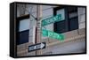 Intersection of Tremont Street and Boylston Street, Boston, MA-null-Framed Stretched Canvas
