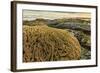 Intertidal Sand Reef Made by the Sandcastle Worm-Rob Francis-Framed Photographic Print