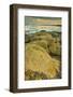 Intertidal Sand Reef Made by the Sandcastle Worm-Rob Francis-Framed Photographic Print