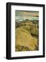 Intertidal Sand Reef Made by the Sandcastle Worm-Rob Francis-Framed Photographic Print