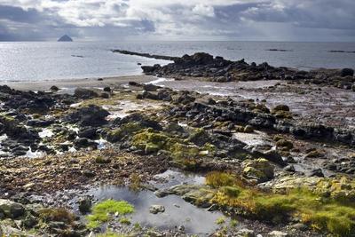 https://imgc.allpostersimages.com/img/posters/intertidal-zone-of-rugged-beach-kildonan-shore-isle-of-arran-north-ayrshire-scotland-uk_u-L-PV8K1T0.jpg?artPerspective=n