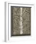 Intertwine II-Tim O'toole-Framed Art Print