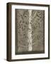 Intertwine II-Tim O'toole-Framed Art Print