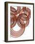 Intertwined Gold II-Monika Burkhart-Framed Photographic Print