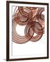 Intertwined Gold III-Monika Burkhart-Framed Photographic Print