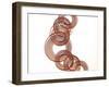 Intertwined Gold V-Monika Burkhart-Framed Photographic Print