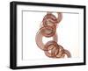 Intertwined Gold V-Monika Burkhart-Framed Photographic Print