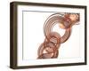 Intertwined Gold VI-Monika Burkhart-Framed Photographic Print