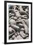 Intertwined Human Figures, Detail of the Monolith by Gustav Vigeland, Frogner Park-Eleanor Scriven-Framed Photographic Print