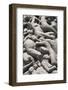 Intertwined Human Figures, Detail of the Monolith by Gustav Vigeland, Frogner Park-Eleanor Scriven-Framed Photographic Print