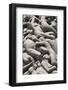 Intertwined Human Figures, Detail of the Monolith by Gustav Vigeland, Frogner Park-Eleanor Scriven-Framed Photographic Print