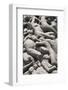 Intertwined Human Figures, Detail of the Monolith by Gustav Vigeland, Frogner Park-Eleanor Scriven-Framed Photographic Print