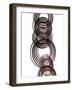 Intertwined I-Monika Burkhart-Framed Photographic Print