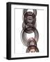 Intertwined I-Monika Burkhart-Framed Photographic Print