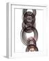 Intertwined I-Monika Burkhart-Framed Photographic Print