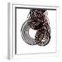 Intertwined IV-Monika Burkhart-Framed Photographic Print