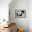 Intertwined Reverse I-Monika Burkhart-Framed Photographic Print displayed on a wall