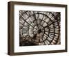 Intertwined Unwind-Sydney Edmunds-Framed Giclee Print