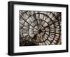 Intertwined Unwind-Sydney Edmunds-Framed Giclee Print