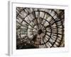 Intertwined Unwind-Sydney Edmunds-Framed Giclee Print