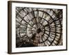 Intertwined Unwind-Sydney Edmunds-Framed Giclee Print