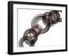 Intertwined VII-Monika Burkhart-Framed Photographic Print