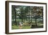 Intervale, New Hampshire, View at the Top of Mount Surprise-Lantern Press-Framed Art Print