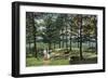 Intervale, New Hampshire, View at the Top of Mount Surprise-Lantern Press-Framed Art Print