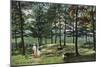 Intervale, New Hampshire, View at the Top of Mount Surprise-Lantern Press-Mounted Art Print