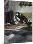 Interview Between Jesus and Nicodemus-James Tissot-Mounted Giclee Print