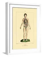 Intestines, 1833-39-null-Framed Giclee Print