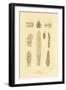 Intestines, 1833-39-null-Framed Giclee Print