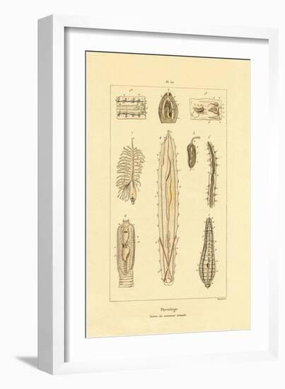 Intestines, 1833-39-null-Framed Giclee Print