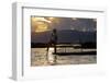 Intha Ethnic Group Fisherman, Inle Lake, Shan State, Myanmar (Burma), Asia-Nathalie Cuvelier-Framed Photographic Print