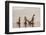 Intha Fisherman, Shan State, Inle Lake, Myanmar (Burma)-Peter Adams-Framed Photographic Print