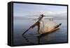 Intha Leg-Rower Fisherman, Inle Lake, Shan State, Myanmar (Burma), Asia-Stuart Black-Framed Stretched Canvas