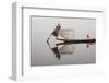 Intha Leg Rowing Fisherman Reflected in Water Dawn with Young Girl, Inle Lake, Nyaungshwe-Stephen Studd-Framed Photographic Print
