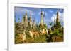 Inthein (Indein), Paya Shwe Inn Thein, Group of Stupas Dated 17th to 18th Century-Nathalie Cuvelier-Framed Photographic Print