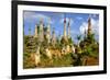 Inthein (Indein), Paya Shwe Inn Thein, Group of Stupas Dated 17th to 18th Century-Nathalie Cuvelier-Framed Photographic Print