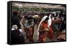 Inti Rayma Festival, Cuzco, Peru, South America-Rob Cousins-Framed Stretched Canvas