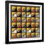 Inti Wing Grid-Belen Mena-Framed Giclee Print