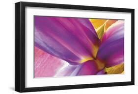 Intimate Iris-Harold Davis-Framed Giclee Print