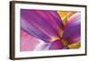 Intimate Iris-Harold Davis-Framed Giclee Print