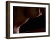 Intimate View-Wunderskatz-Framed Premium Photographic Print