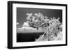 Intimate-Michael de Guzman-Framed Photographic Print