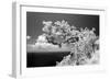 Intimate-Michael de Guzman-Framed Photographic Print