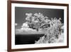 Intimate-Michael de Guzman-Framed Photographic Print