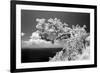 Intimate-Michael de Guzman-Framed Photographic Print