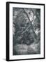 Intimidating Tree, Big Sur California Coast-Vincent James-Framed Photographic Print